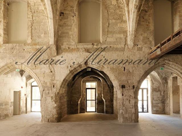 Vente Maison 15 pièces 630 m2 Avignon