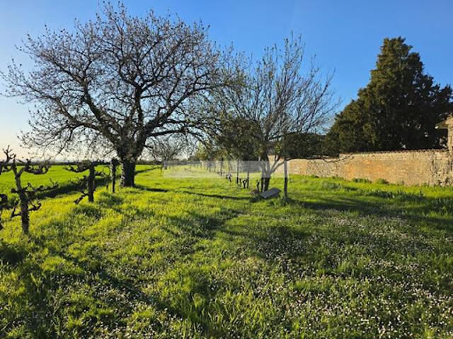 Vente Maison 16 pièces 294 m2 Rouillac