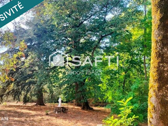 Vente Maison 16 pièces 420 m2 Saint juery