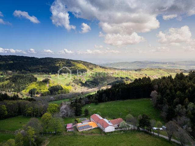 Vente Maison 16 pièces 532 m2 Colombier