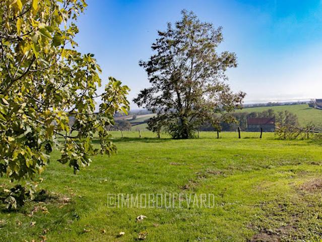 Vente Maison 17 pièces 346 m2 Lalizolle