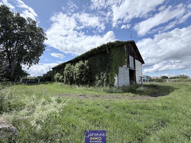 Vente Maison 17 pièces 365 m2 Buzet sur Baïse