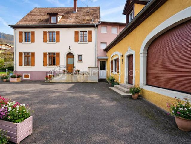 Vente Maison 17 pièces 308 m2 Breitenbach