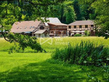 Vente Maison 17 pièces 423 m2 Wangenbourg Engenthal