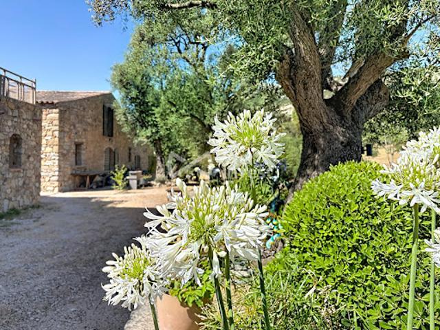 Vente Maison 18 pièces 443 m2 Calvi