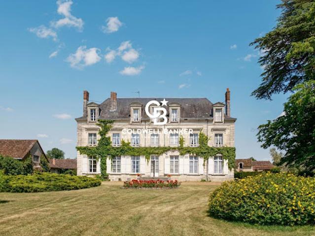 Vente Maison 19 pièces 520 m2 Descartes