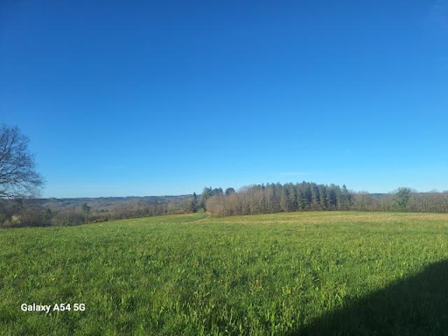 Vente Maison 1 pièce 48 m2 Villefranche du Périgord