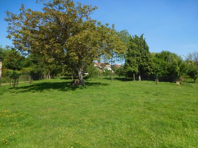 Vente Maison 1 pièce 73.55 m2 Lanouaille