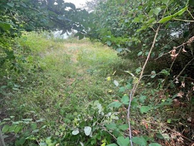 Vente Maison 1 pièce 90 m2 Rochecorbon