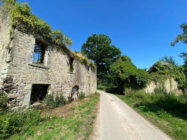 Vente Maison 1 pièce 101 m2 Négreville