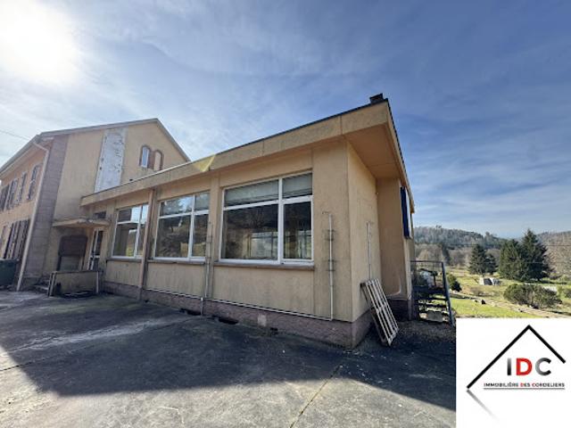 Vente Maison 1 pièce 106 m2 Sarrebourg