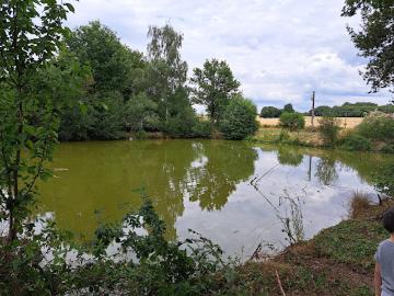 Vente Maison 1 pièce 120 m2 La Dominelais
