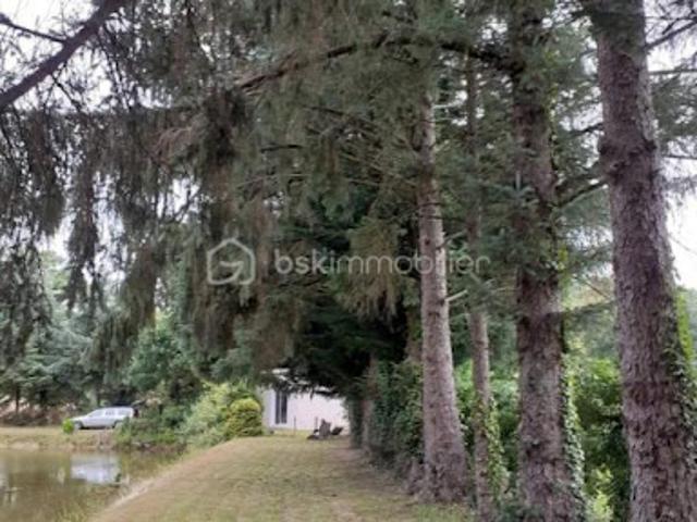 Vente Maison 1 pièce 25 m2 Cuillé