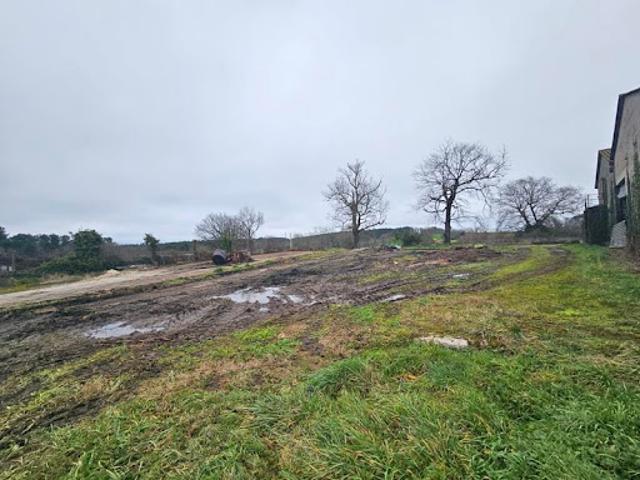 Vente Maison 1 pièce 300 m2 Montguyon
