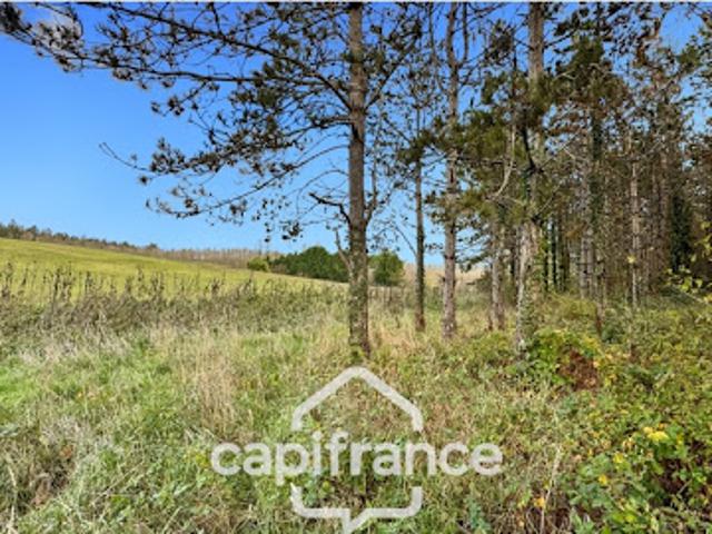Vente Maison 1 pièce 30 m2 Monflanquin