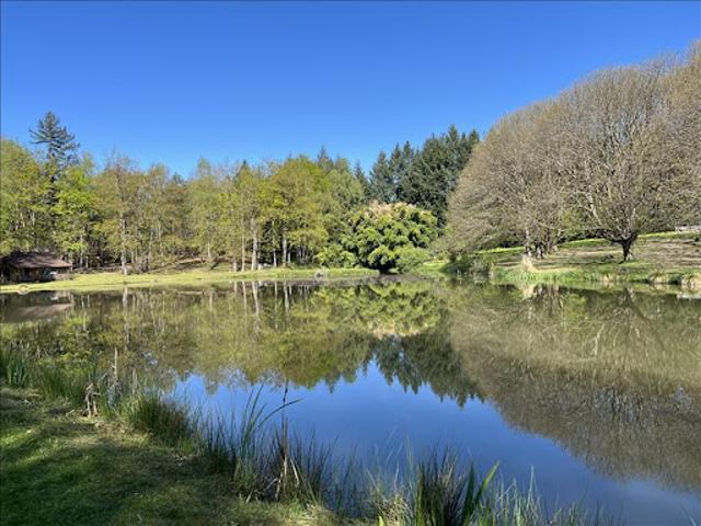 Vente Maison 1 pièce 35 m2 Saint Yrieix la Perche