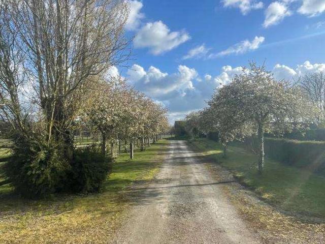 Vente maison 20 pièces Basseneville 14