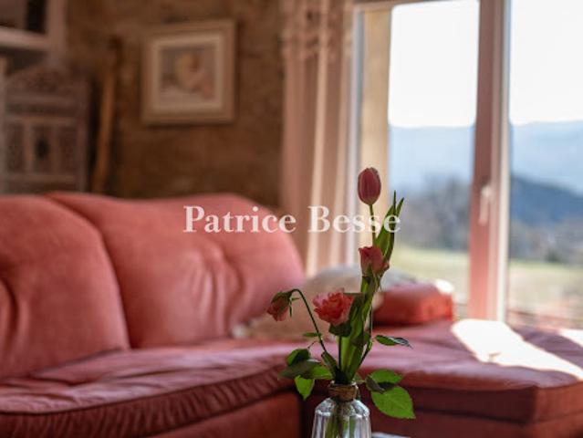 Vente Maison 20 pièces 822 m2 Sisteron