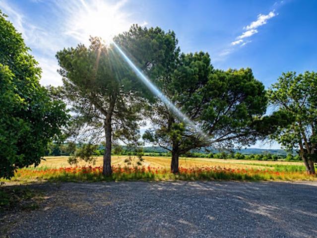 Vente Maison 20 pièces 350 m2 Narbonne