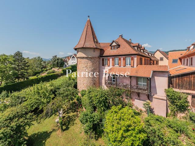 Vente Maison 20 pièces 650 m2 Ribeauville