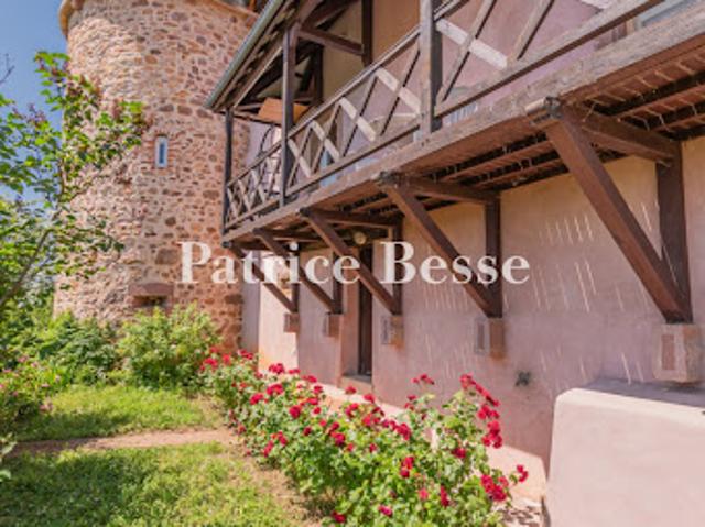Vente Maison 20 pièces 650 m2 Ribeauville