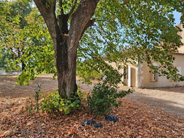Vente Maison 20 pièces 700 m2 Bergerac