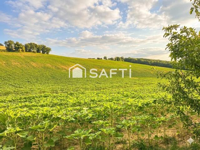 Vente Maison 21 pièces 596 m2 Rabastens