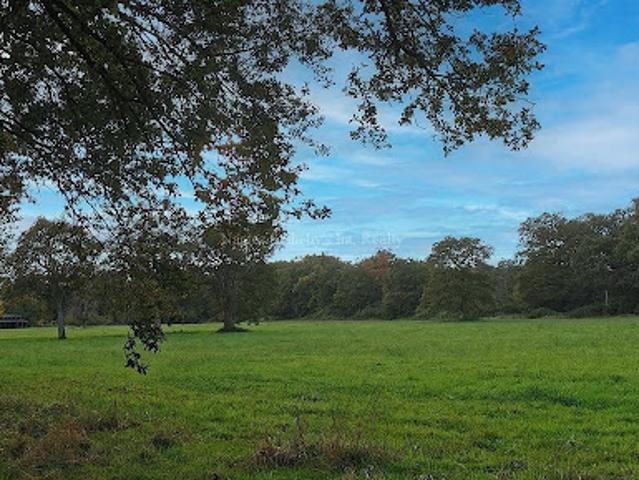 Vente Maison 24 pièces 896 m2 Angers