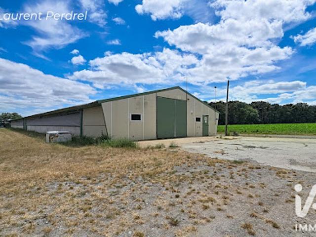 Vente Maison 2 pièces 1300 m2 Sainte Marie
