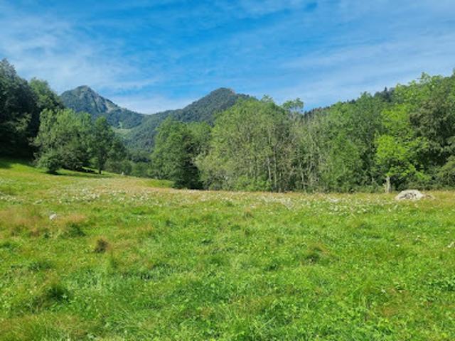 Vente Maison 2 pièces 210 m2 Argelès Gazost