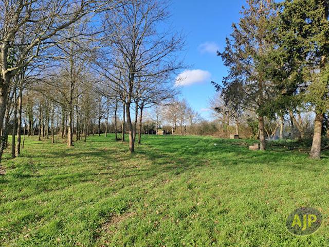 Vente Maison 2 pièces 260 m2 Saint Christophe du Ligneron