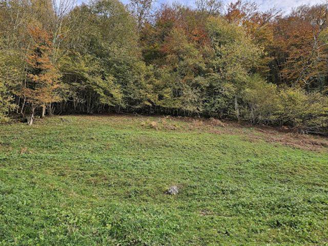 Vente Maison 2 pièces 35 m2 Erce
