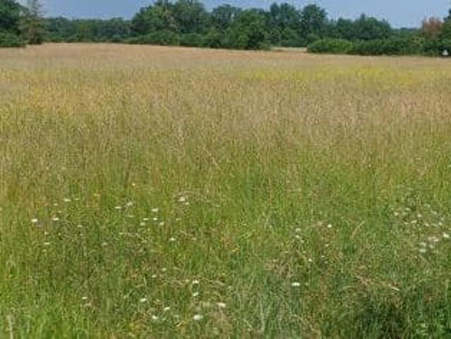 Vente Maison 2 pièces 50 m2 Chouppes