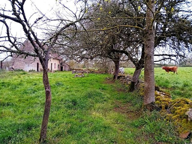 Vente Maison 2 pièces 57 m2 Beauregard