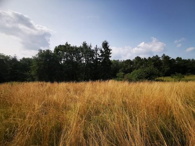 Vente Maison 2 pièces 68 m2 Négrondes
