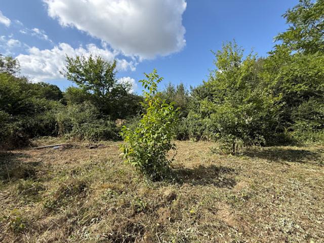 Vente Maison 2 pièces 70 m2 Lalanne