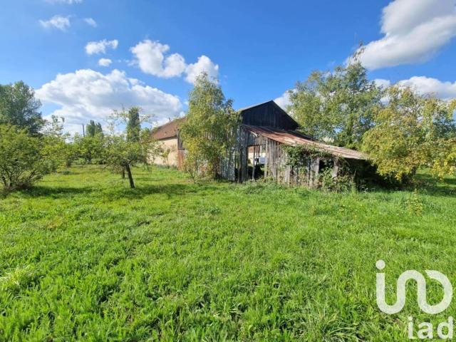 Vente maison 2 pièces Bray en Val 45