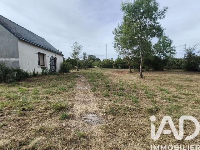 Vente maison 2 pièces Montjean sur Loire 49