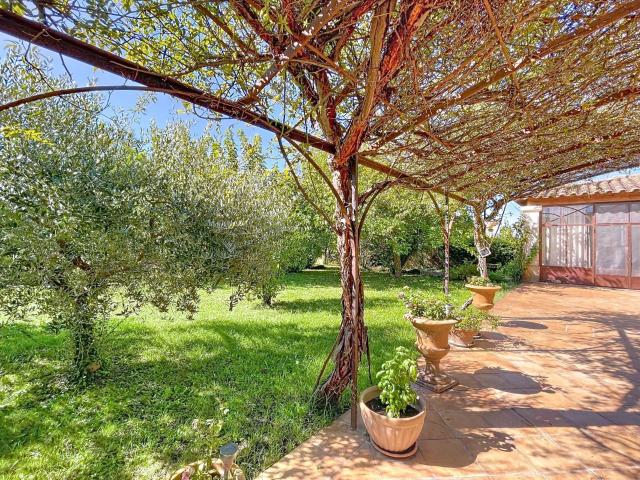 vente maison 7 Pièce s 230m² Maillane