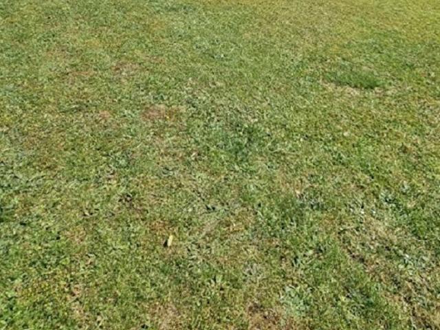 Vente Maison 7 pièces 125 m2 Noisy le Grand