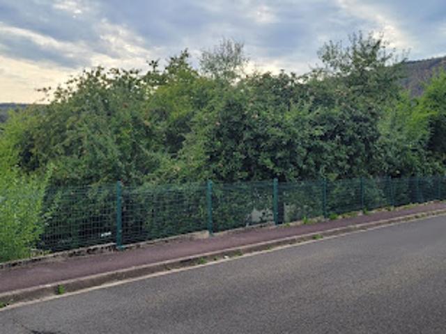 Vente Maison 7 pièces 126 m2 Monthermé