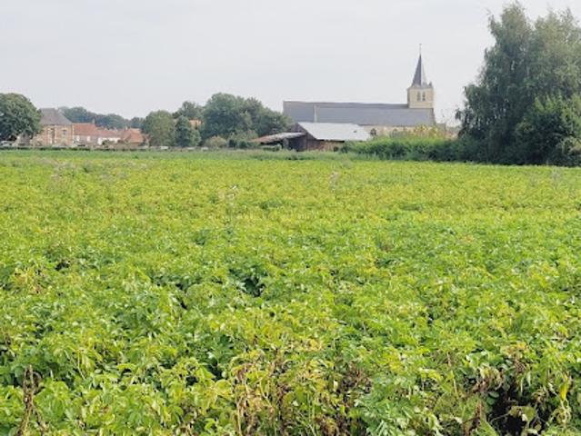 Vente Maison 7 pièces 120 m2 Audruicq