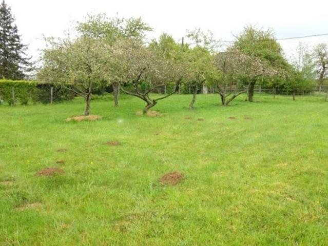 Vente Maison 7 pièces 120 m2 Bessancourt