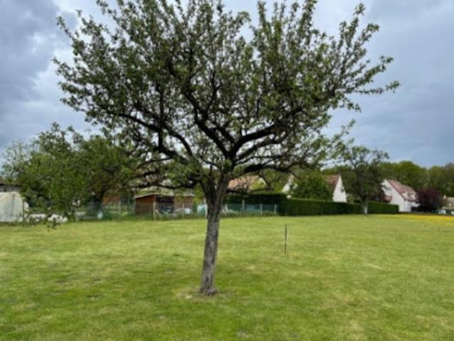 Vente Maison 7 pièces 120 m2 Condé Sainte Libiaire