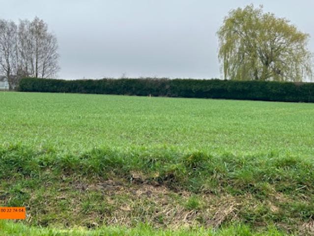 Vente Maison 7 pièces 120 m2 Gonnehem