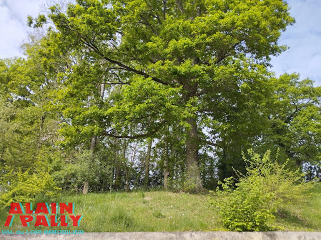 Vente Maison 7 pièces 123.44 m2 Cloyes les Trois Rivières