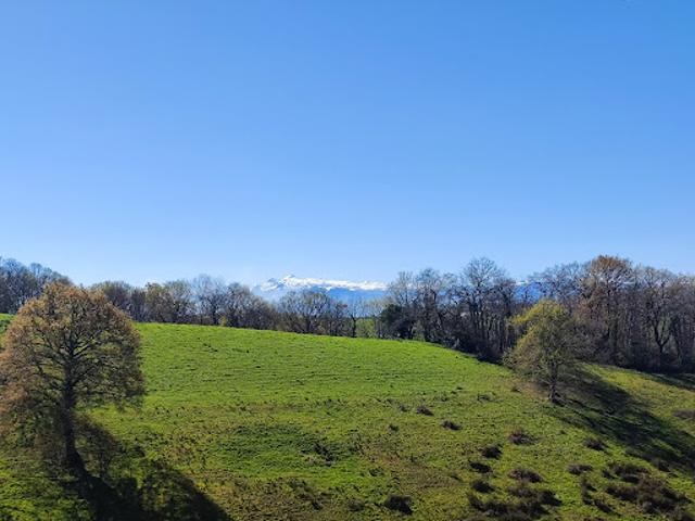 Vente Maison 7 pièces 134 m2 Lucq de Béarn