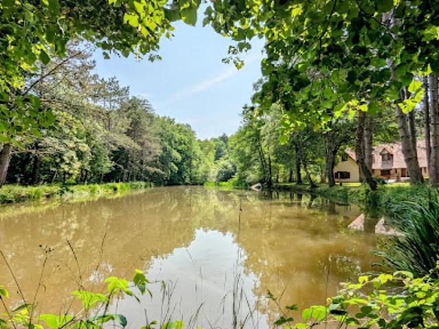 Vente Maison 7 pièces 138 m2 Aubigny sur Nère