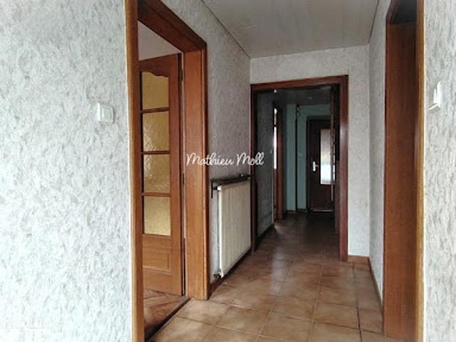 Vente Maison 7 pièces 141 m2 Dehlingen