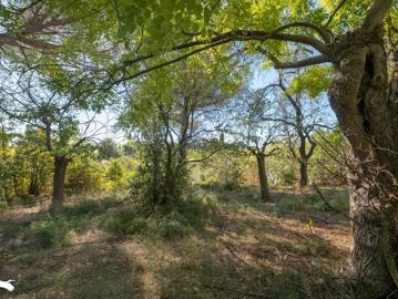 Comédie, La Languedocienne Montpellier, Maurin, Hérault, Languedoc-Roussillon